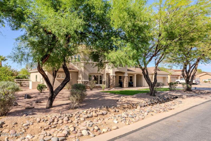 1-web-or-mls-Prospector-1