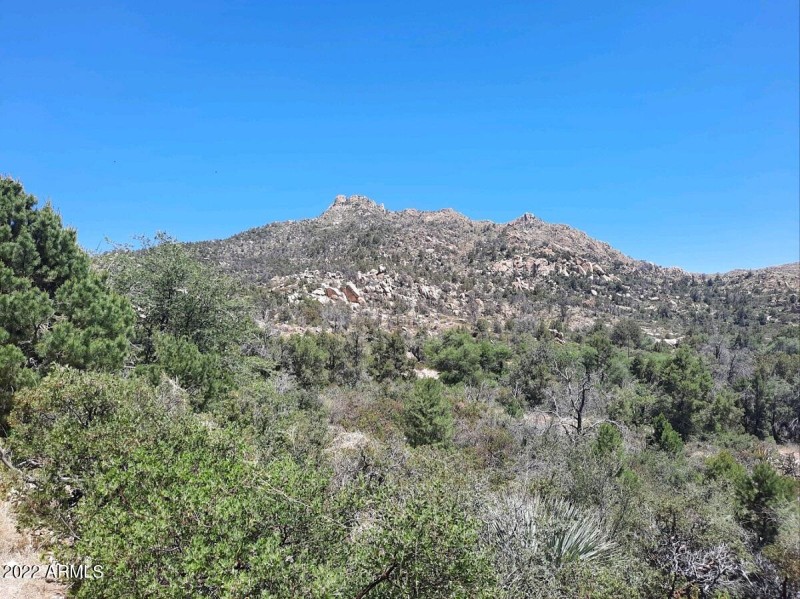 View of Hutton Peak