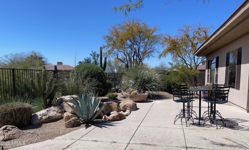 Backyard with water feature