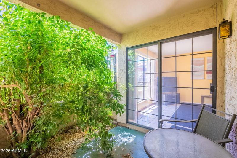 31-web-or-mls-Cochise-31