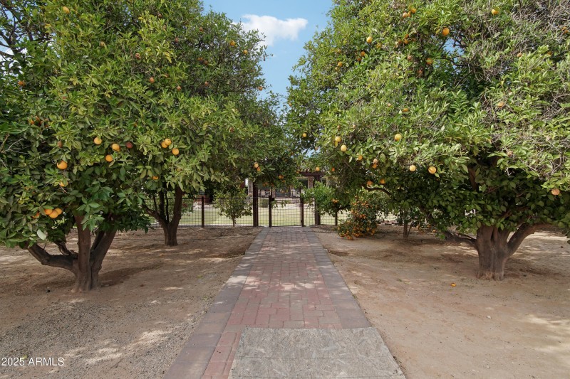 51-print-E Excelsior Ave-1305-051