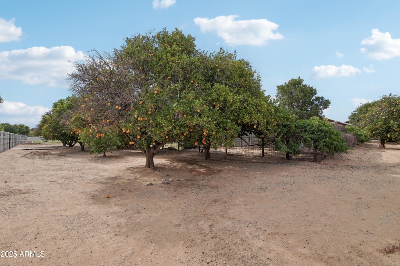 52-print-E Excelsior Ave-1305-052