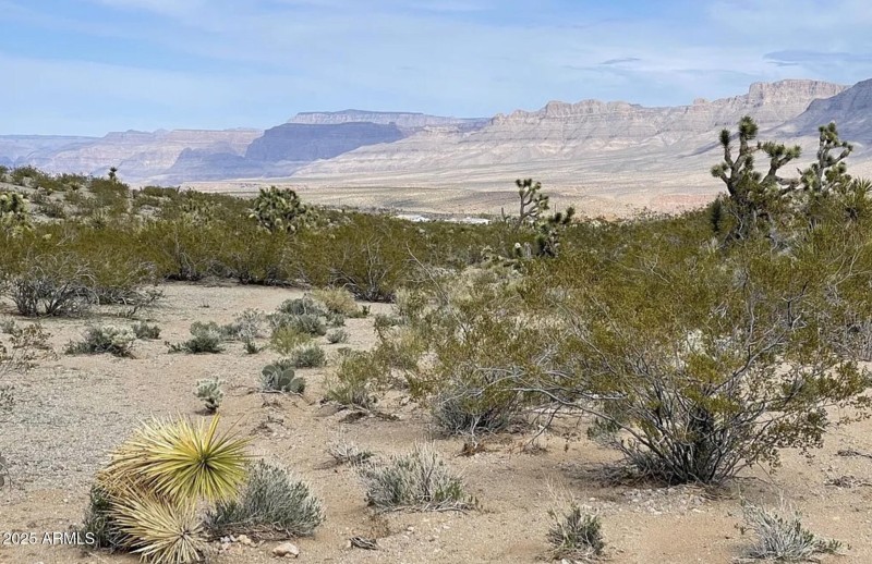 540 W Silver Creek LN