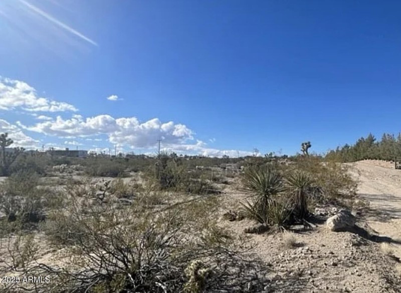 540 W Silver Creek LN