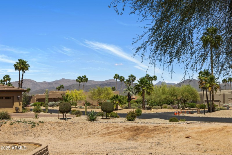 Views from the Back Deck