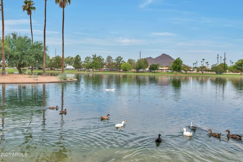 5111 N 83rd St, Scottsdale