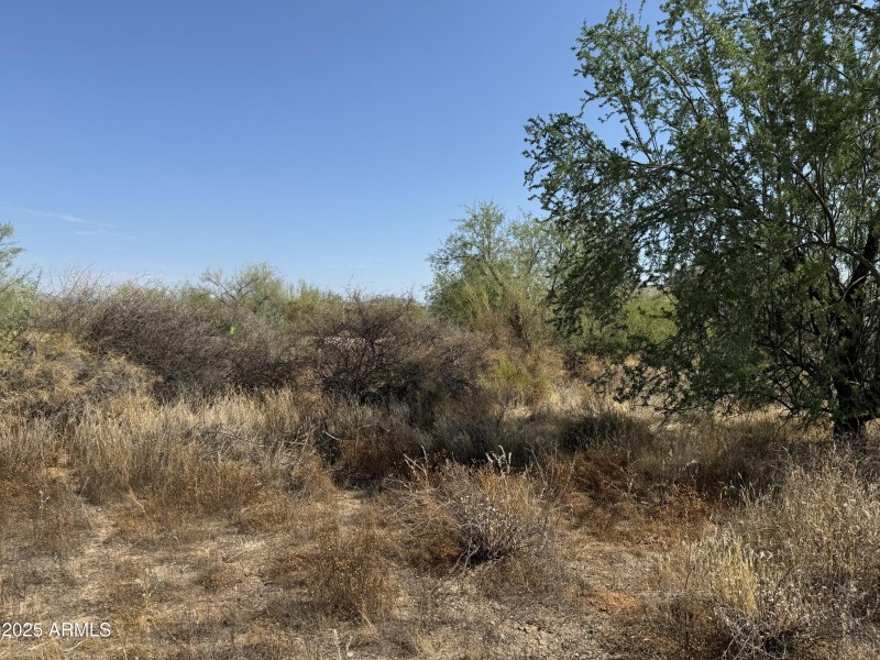 Short Distance to Trails