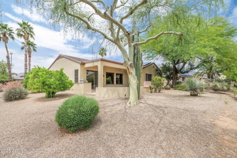 43-web-or-mls-P1200623