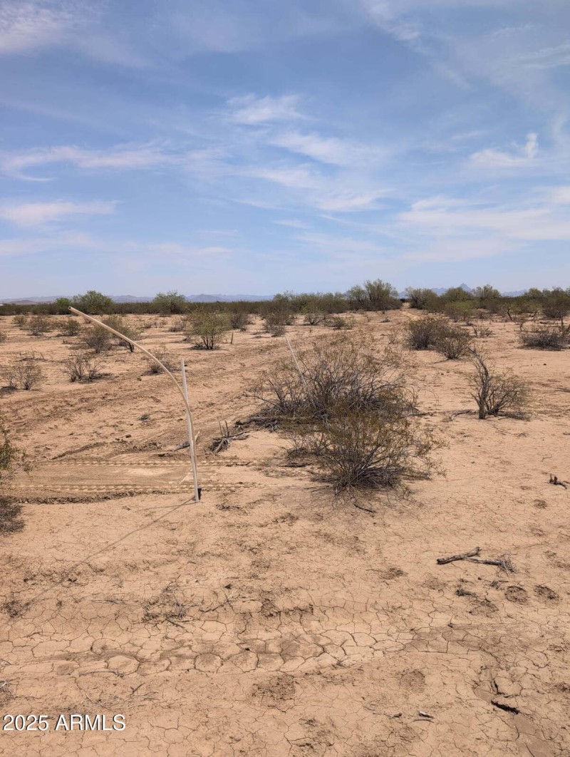 d3b18d1b-2799-4398-8601-445c1b09e641