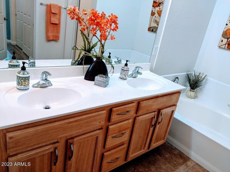 12112 Primary Dual Sinks