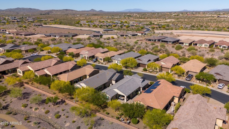 4449 Covered Wagon 00003