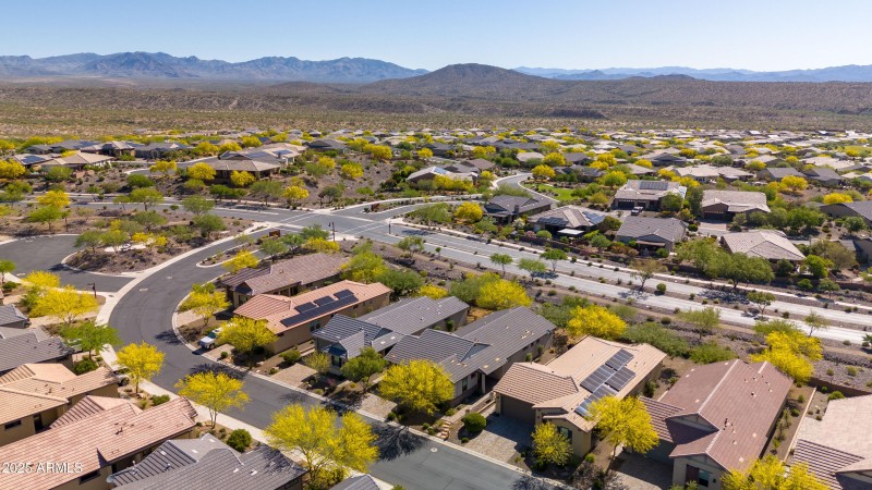 4449 Covered Wagon 00006