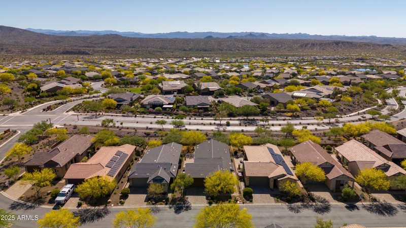 4449 Covered Wagon 00007