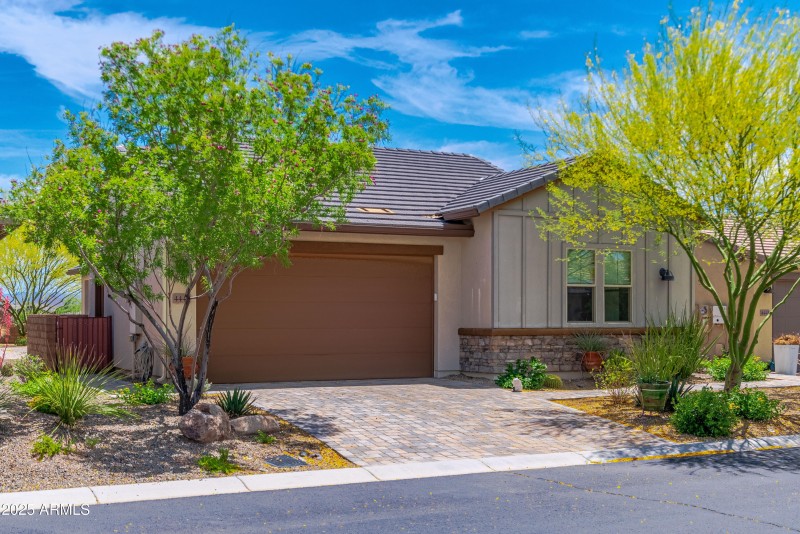 4449 Covered Wagon 00031