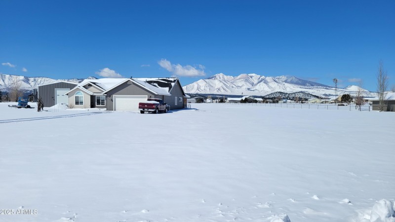 Aldrich 9534 Snow Pix FA