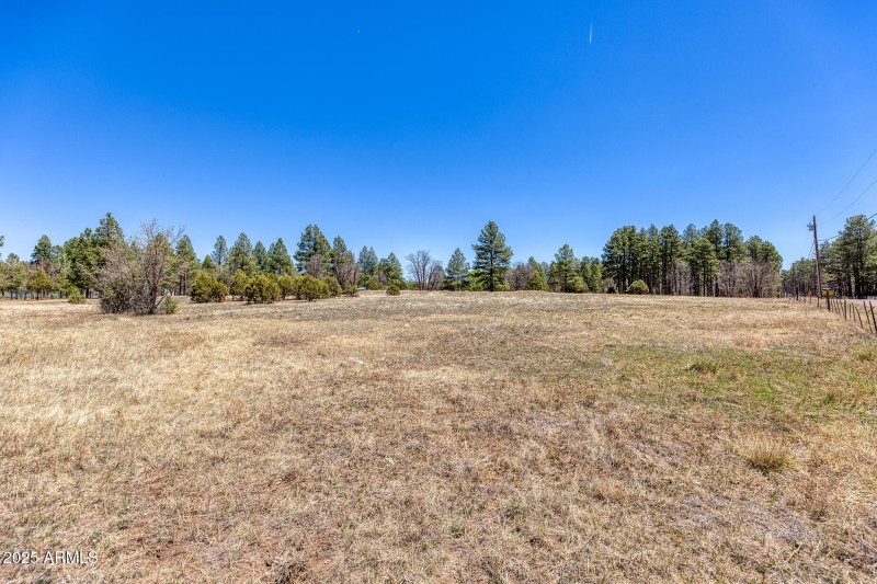 2.81 Acre Meadow Area - larsen rd proper
