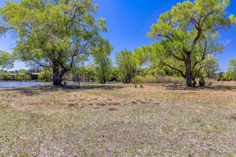 Peninsula Lot Area - larson rd property