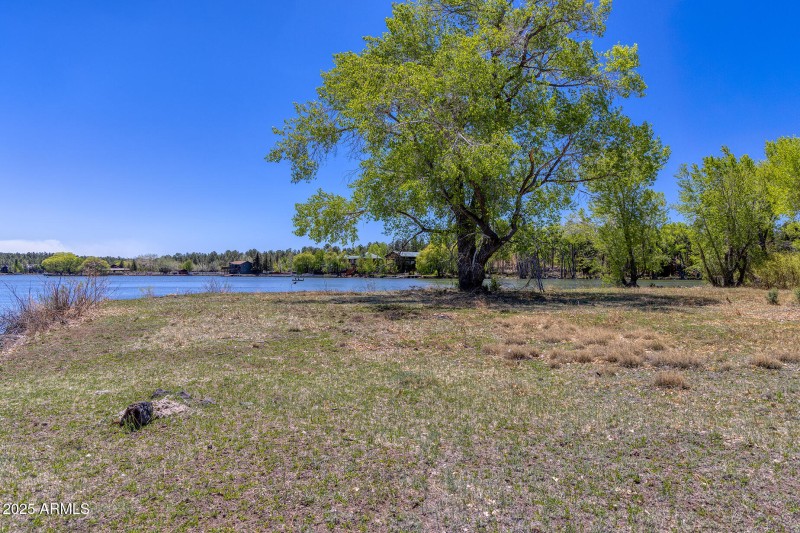 Peninsula Lake Frontage - larsen rd prop