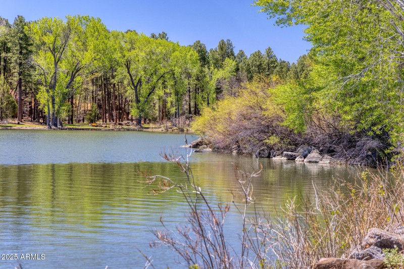 View of Lakefrontage Area - larsen rd pr