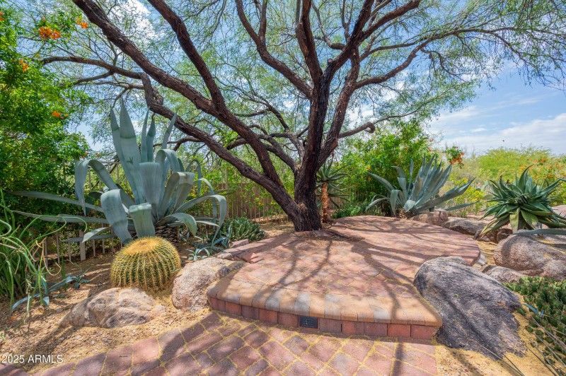 garden_patio_1
