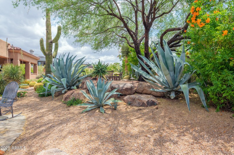 garden_patio_6