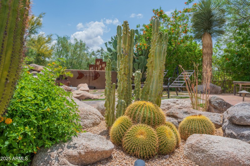backyard_detail_6