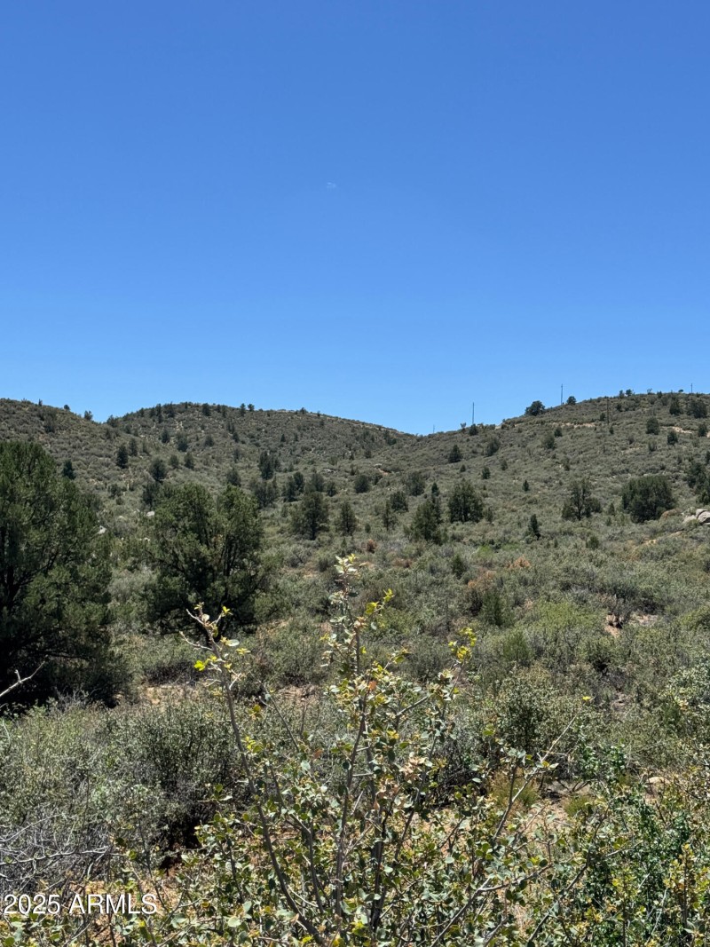 Gentle Slope View to South