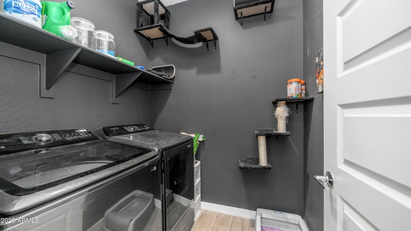 3117 E Hayfield way (20)