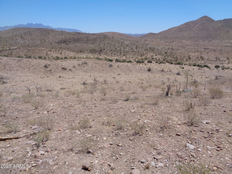 Tonto Forest behind lot