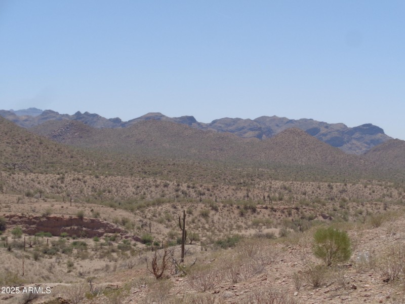 View of Superstion Mountains