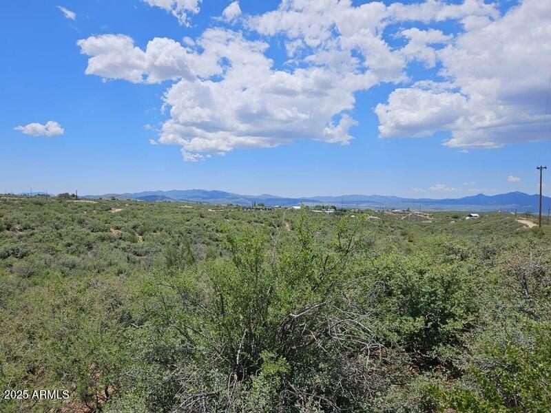 Electric at Lot Corner