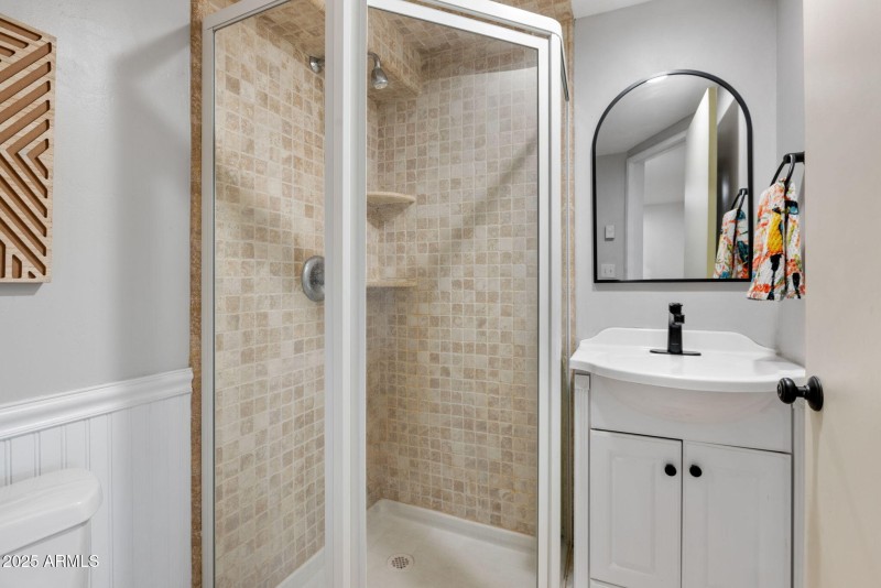 Lower Level Bathroom