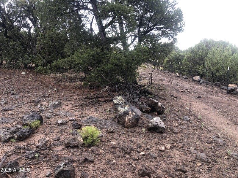 3003087B-13CA-4B7C-AB3D-5D151DDCEA37