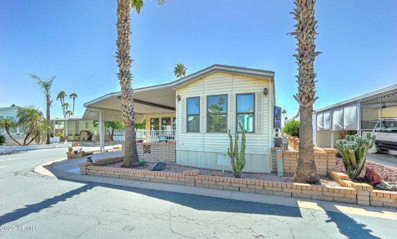 Garden window and Palm Trees