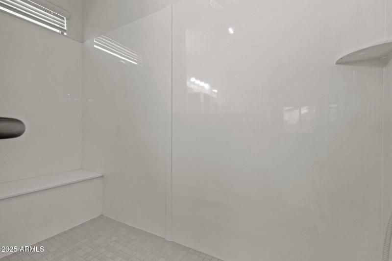 Primary Zero Step Entrance Shower