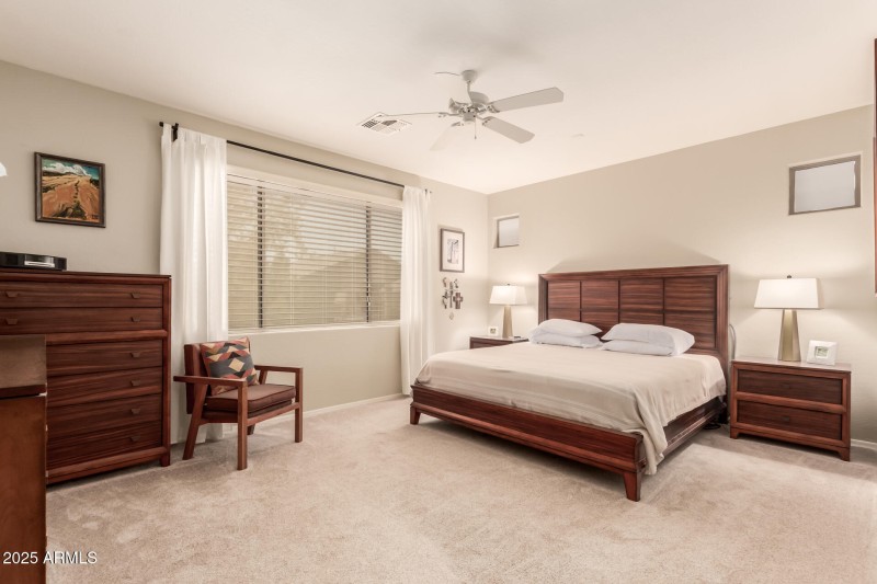 20 - Desert Honeysuckle