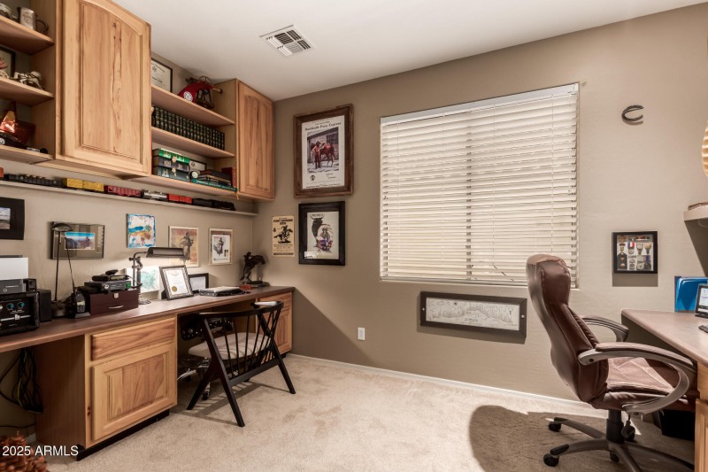 33 - Desert Honeysuckle