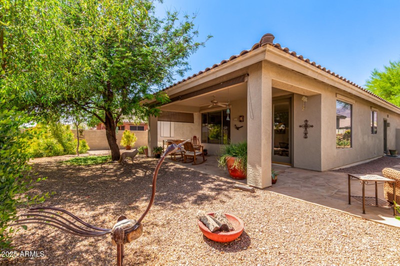 41 - Desert Honeysuckle