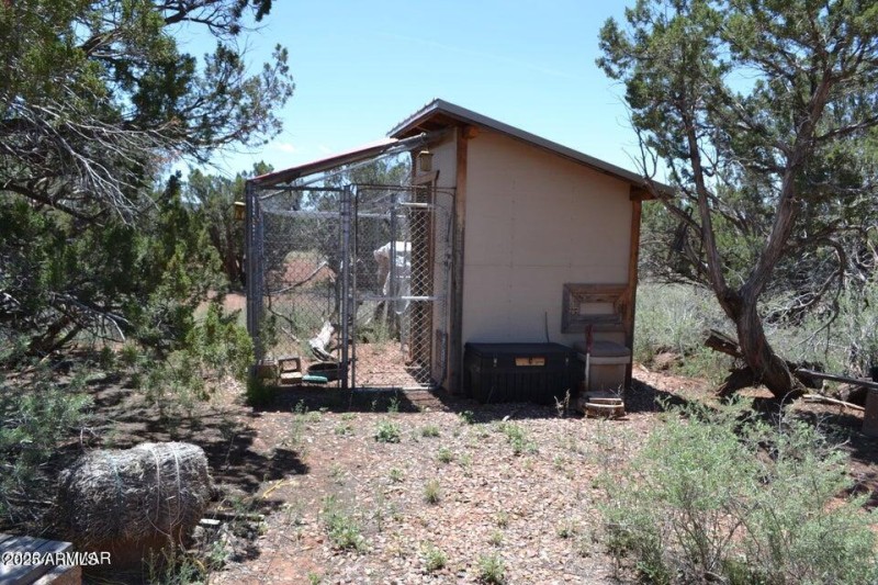 Chicken Coop