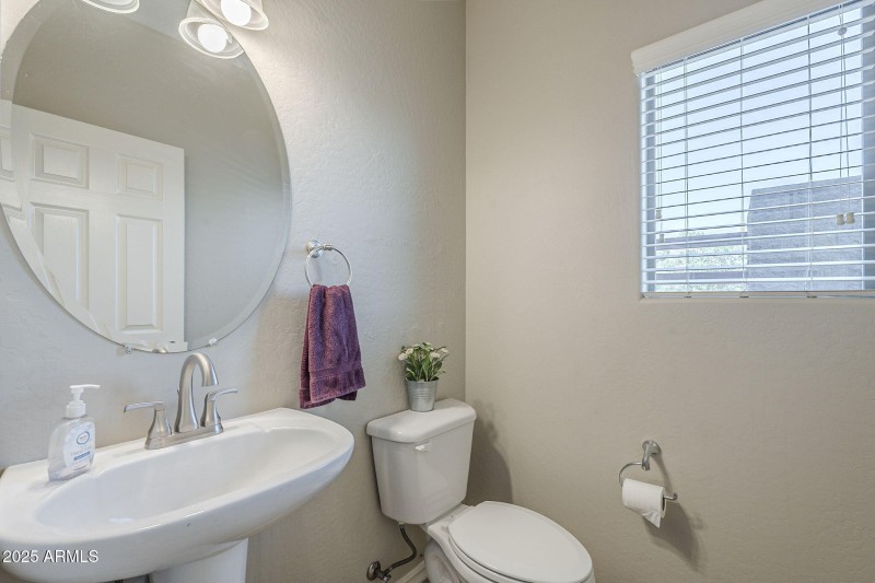 23-web-or-mls-Pelican-23