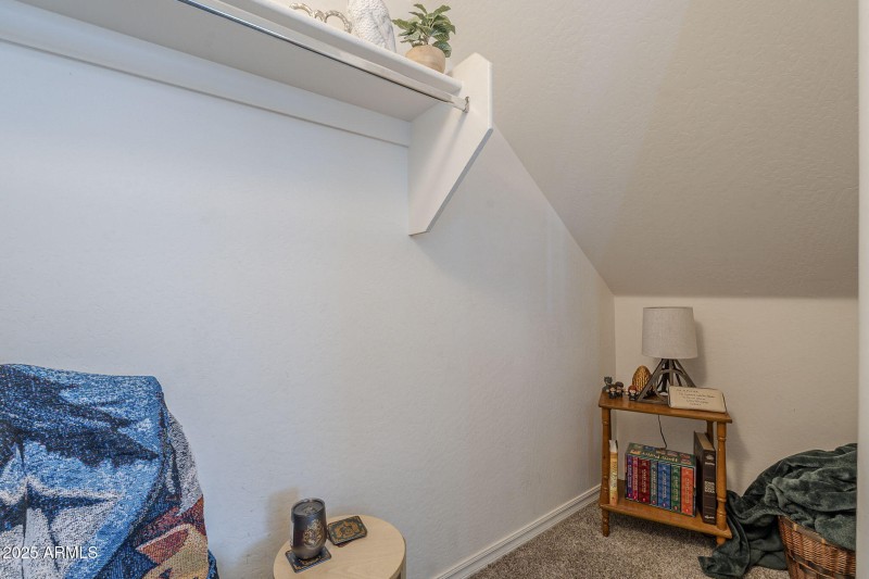 25-web-or-mls-Pelican-25