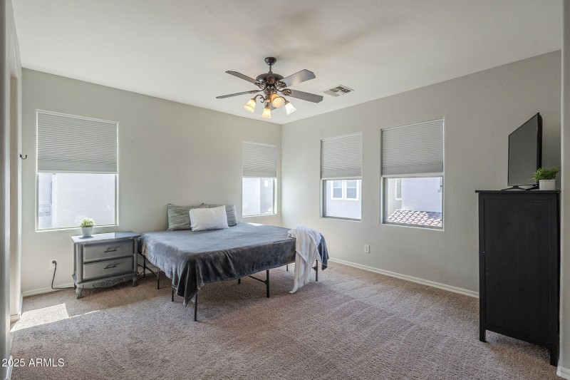 30-web-or-mls-Pelican-30