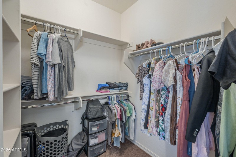 36-web-or-mls-Pelican-36