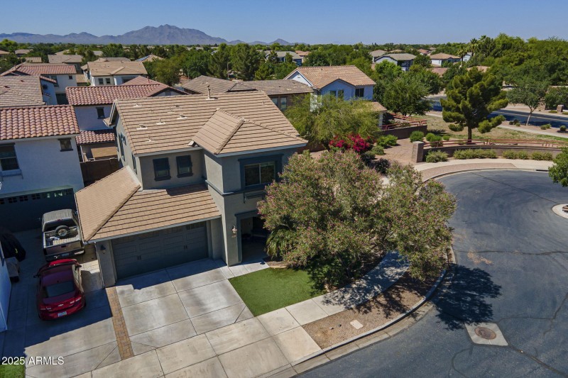 51-web-or-mls-Pelican-51