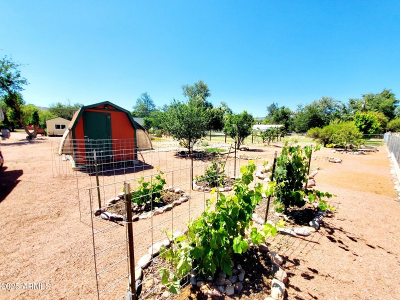 20250521_141009_resized