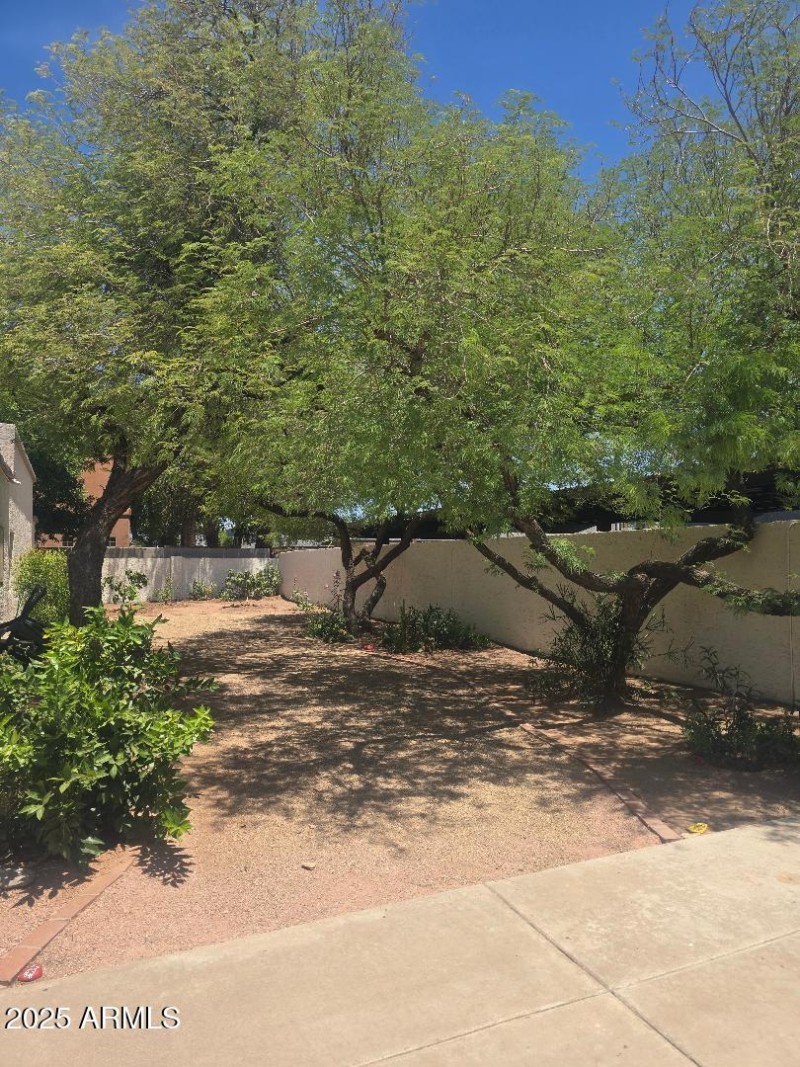 37th St 14 Common Area