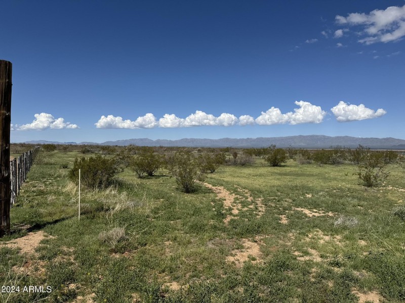 73256488101__5565C3C5-55C6-4DD1-BF4C-E52