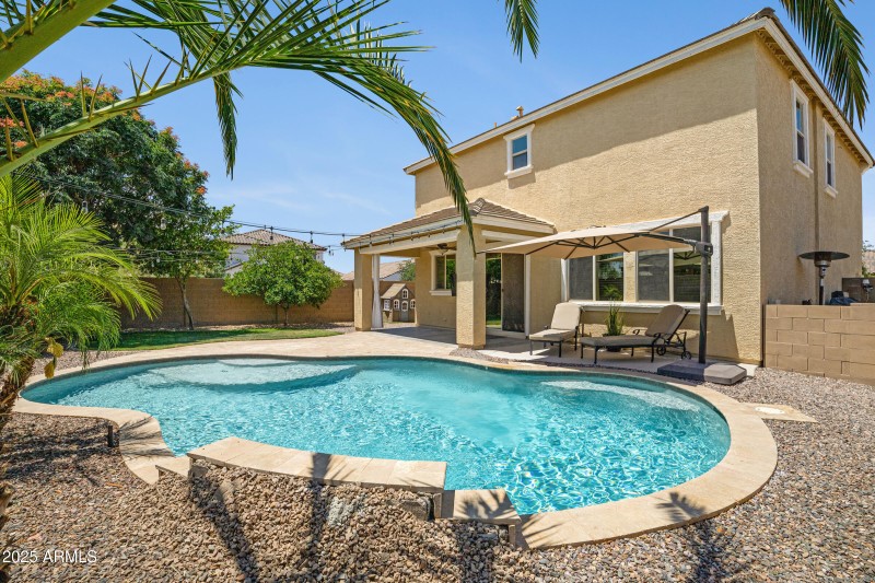 East facing back yard