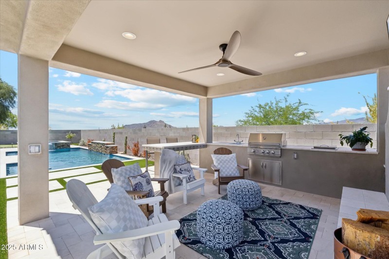 Gas grill and fireplace