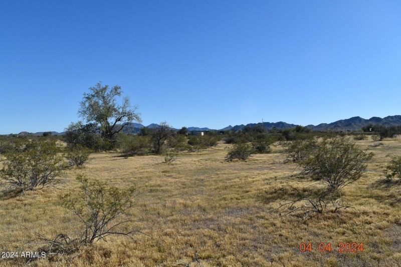 organ pipe looking south wider